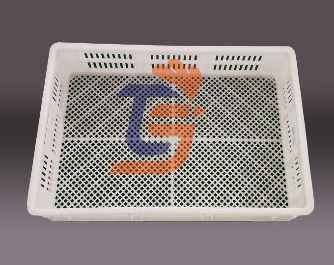 禽苗周轉箱
